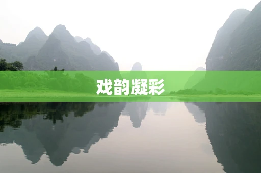 戏韵凝彩