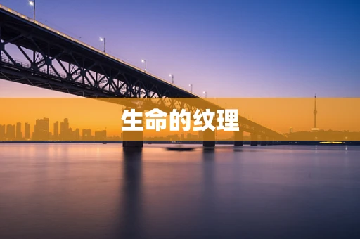 生命的纹理
