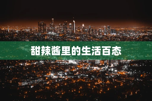 甜辣酱里的生活百态