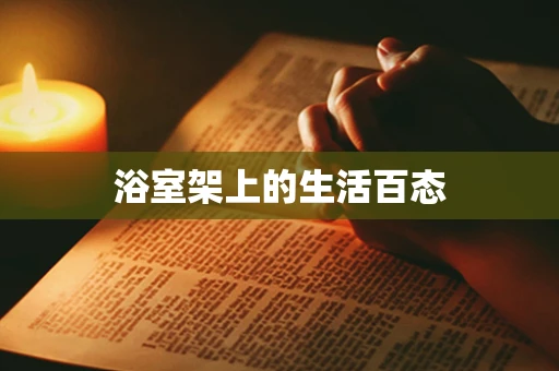 浴室架上的生活百态