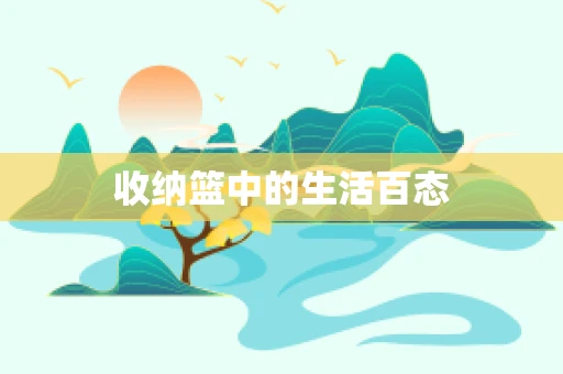 收纳篮中的生活百态