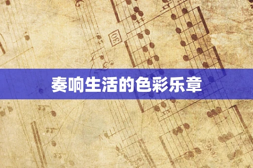 奏响生活的色彩乐章