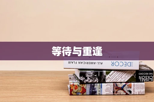 等待与重逢