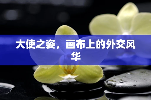 大使之姿，画布上的外交风华