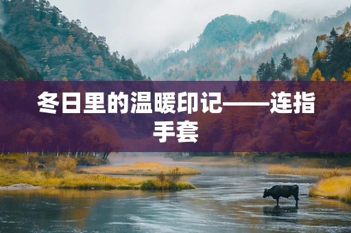 冬日里的温暖印记——连指手套