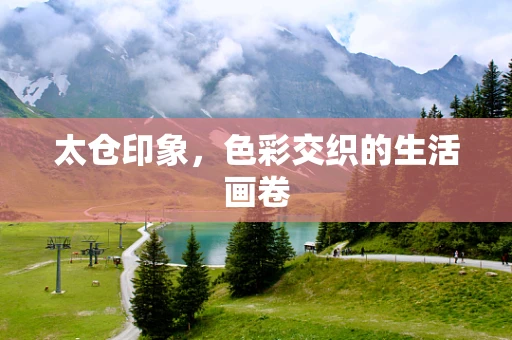 太仓印象，色彩交织的生活画卷