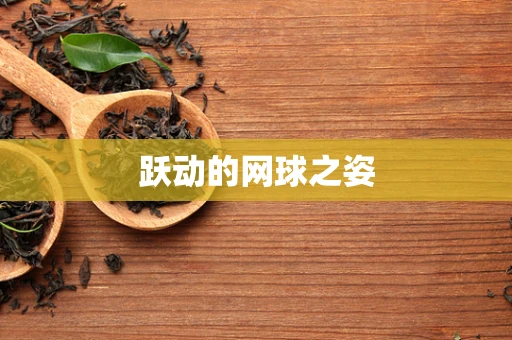 跃动的网球之姿