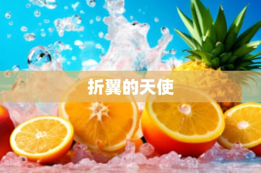 折翼的天使