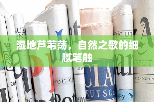 湿地芦苇荡，自然之歌的细腻笔触