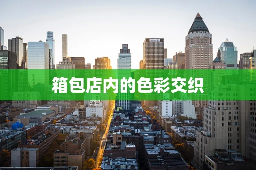 箱包店内的色彩交织