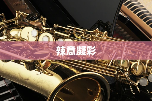 辣意凝彩