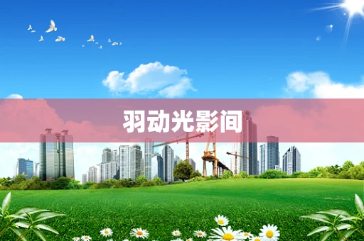 羽动光影间