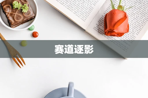 赛道逐影