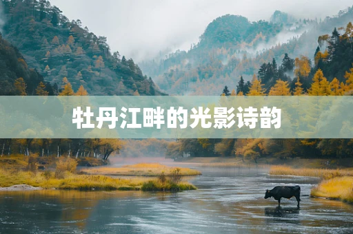 牡丹江畔的光影诗韵
