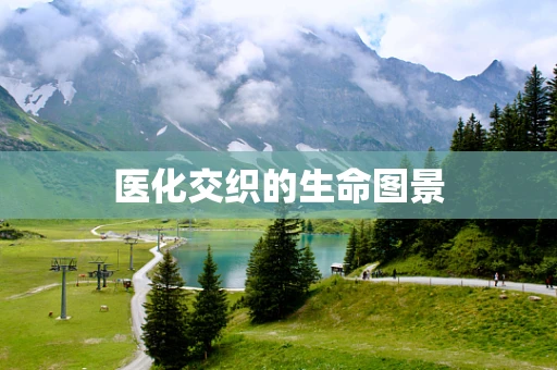 医化交织的生命图景