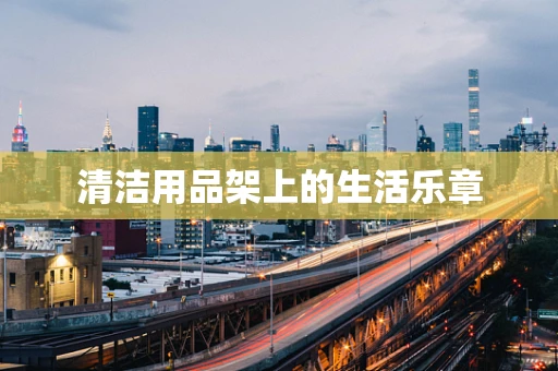 清洁用品架上的生活乐章