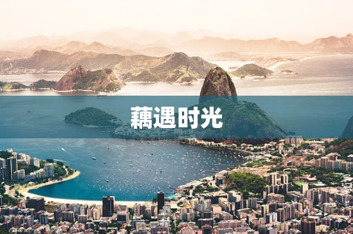 藕遇时光