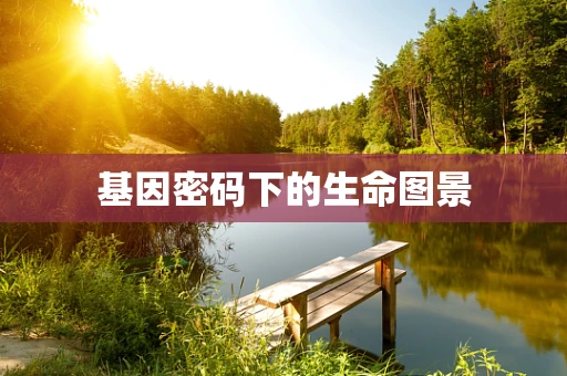 基因密码下的生命图景