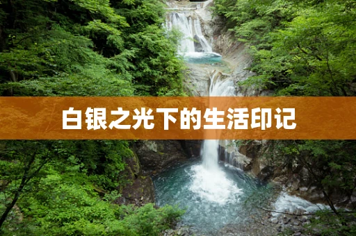 白银之光下的生活印记