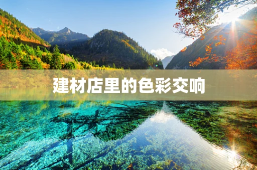 建材店里的色彩交响