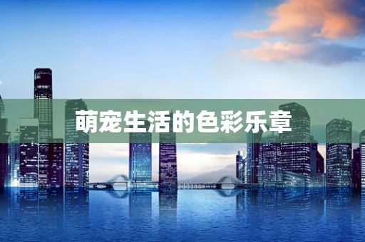 萌宠生活的色彩乐章
