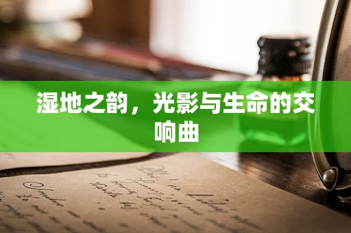 湿地之韵，光影与生命的交响曲