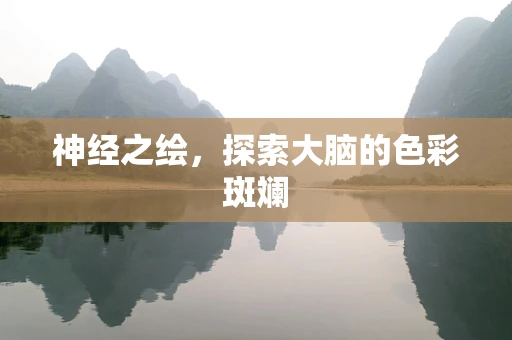 神经之绘，探索大脑的色彩斑斓