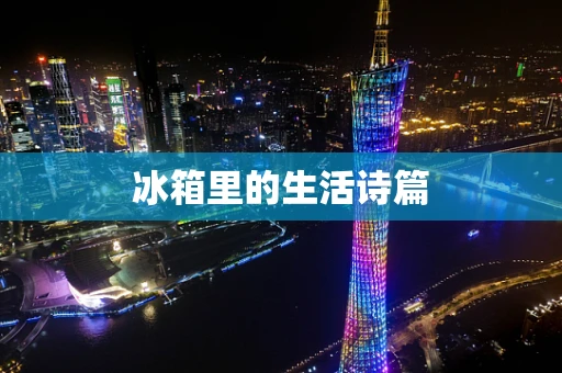 冰箱里的生活诗篇