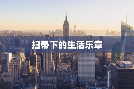 扫帚下的生活乐章
