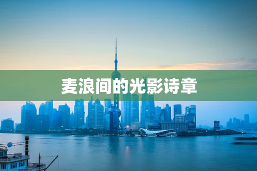 麦浪间的光影诗章