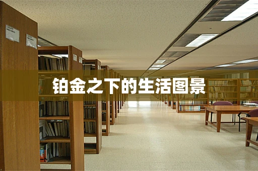 铂金之下的生活图景