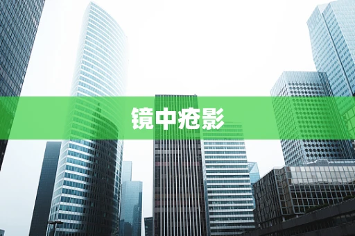 镜中疮影
