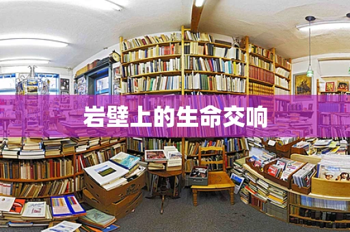 岩壁上的生命交响