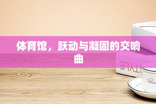 体育馆，跃动与凝固的交响曲