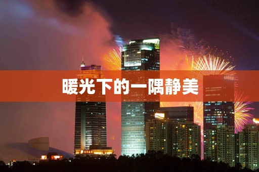 暖光下的一隅静美