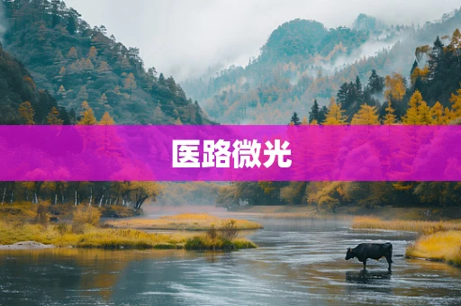 医路微光