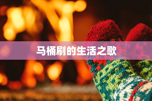 马桶刷的生活之歌