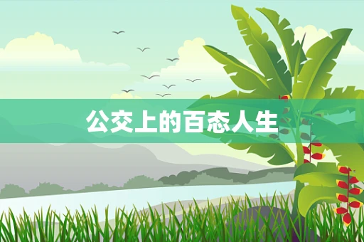 公交上的百态人生
