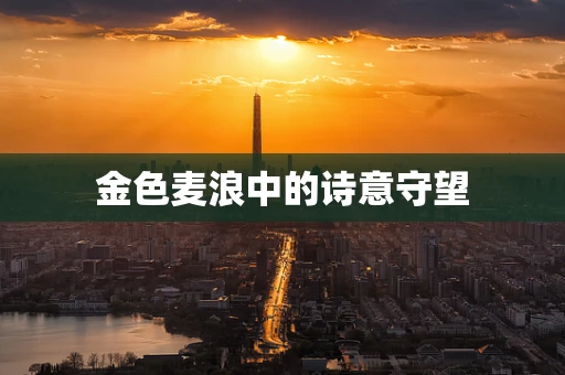 金色麦浪中的诗意守望