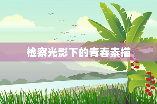 检察光影下的青春素描
