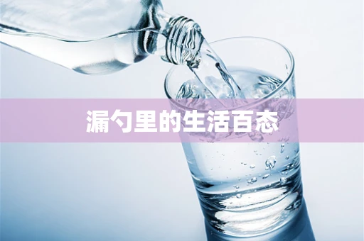 漏勺里的生活百态