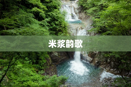 米浆韵歌