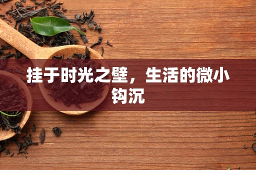 挂于时光之壁，生活的微小钩沉