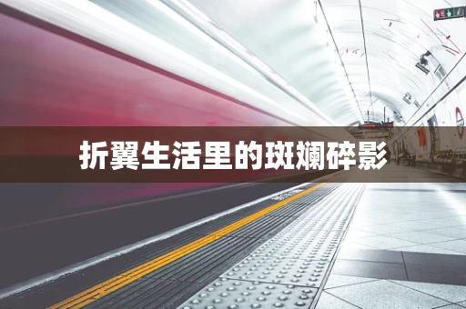 折翼生活里的斑斓碎影