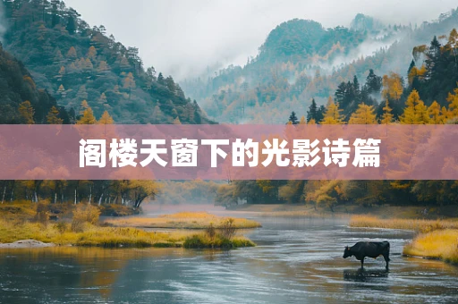 阁楼天窗下的光影诗篇