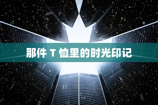 那件 T 恤里的时光印记
