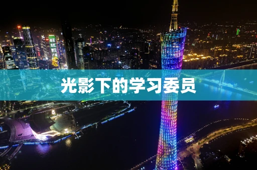 光影下的学习委员