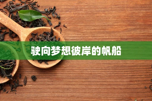 驶向梦想彼岸的帆船