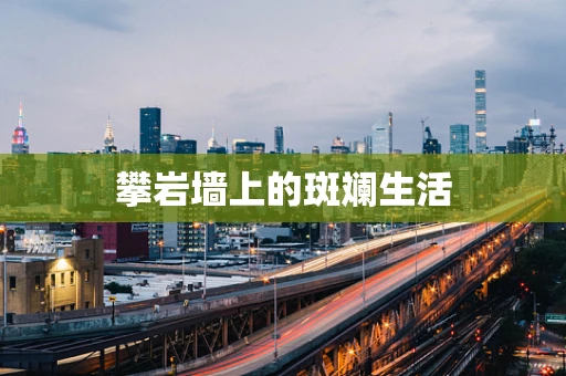 攀岩墙上的斑斓生活
