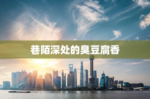 巷陌深处的臭豆腐香